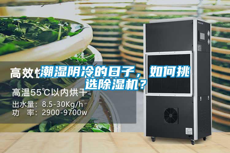 潮濕陰冷的日子，如何挑選除濕機？