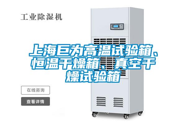 上海巨為高溫試驗箱、恒溫干燥箱、真空干燥試驗箱