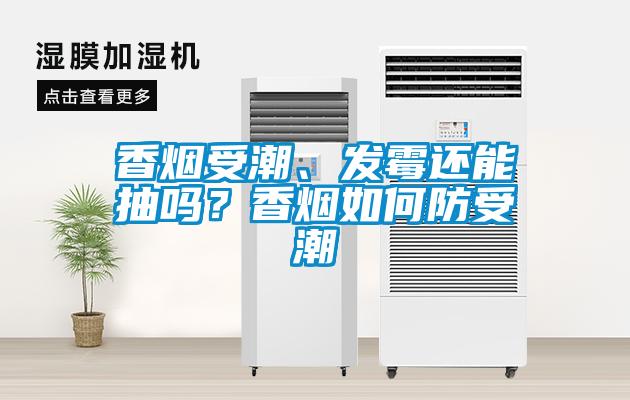 香煙受潮、發霉還能抽嗎？香煙如何防受潮