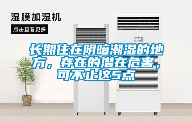 長期住在陰暗潮濕的地方，存在的潛在危害，可不止這5點