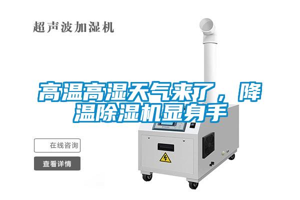 高溫高濕天氣來了，降溫除濕機顯身手