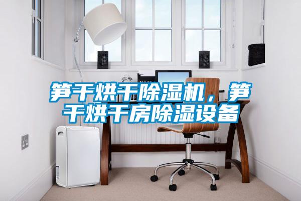 筍干烘干除濕機，筍干烘干房除濕設備