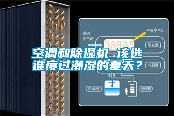 空調(diào)和除濕機 該選誰度過潮濕的夏天？