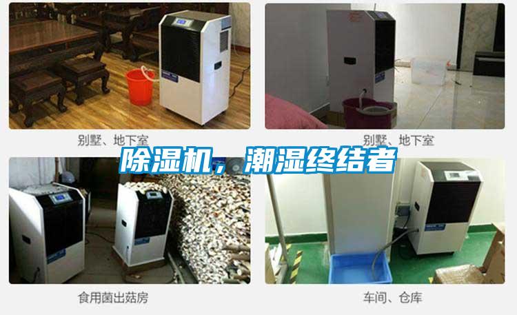 除濕機，潮濕終結者