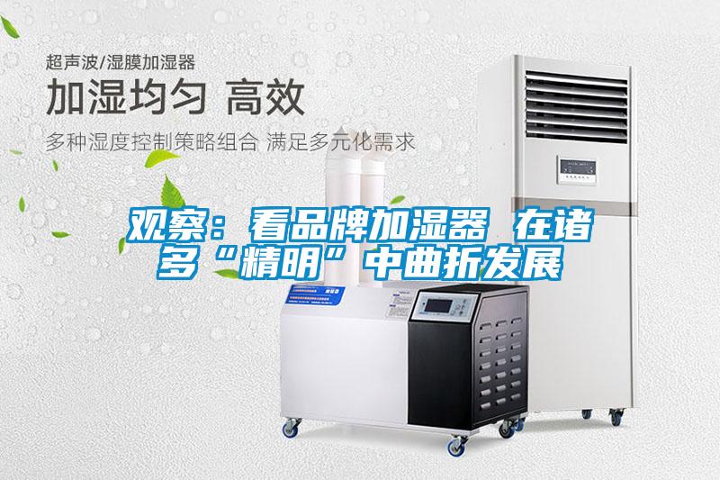 觀察：看品牌加濕器 在諸多“精明”中曲折發展