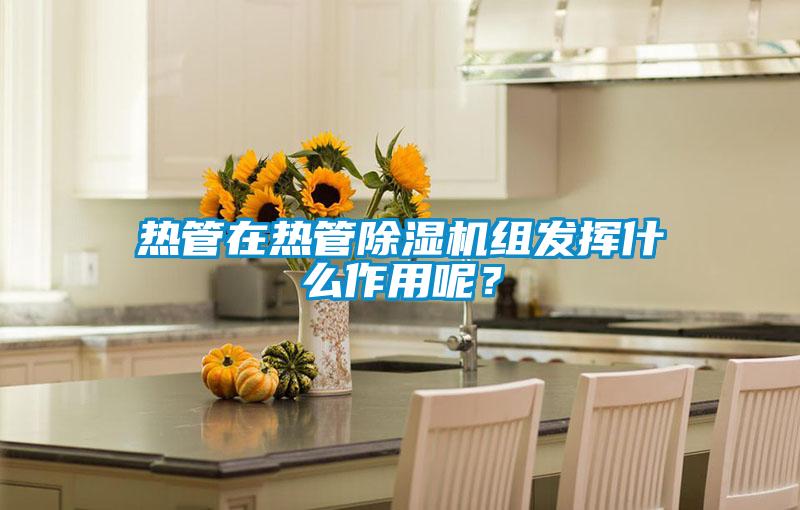 熱管在熱管除濕機(jī)組發(fā)揮什么作用呢？