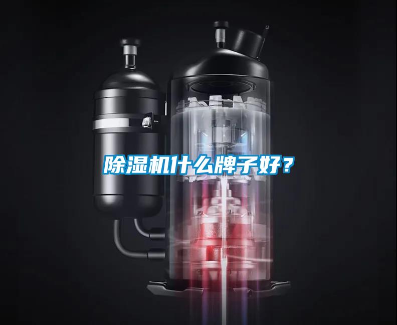 除濕機(jī)什么牌子好？