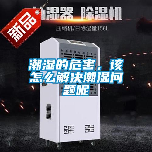 潮濕的危害，該怎么解決潮濕問題呢