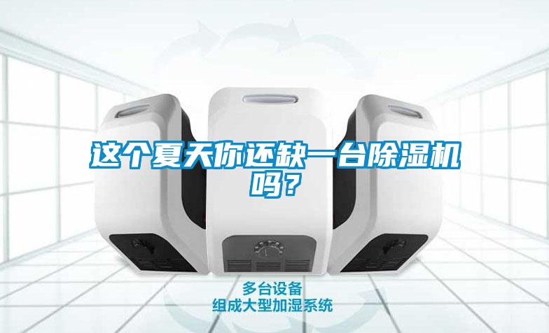 這個夏天你還缺一臺除濕機嗎？