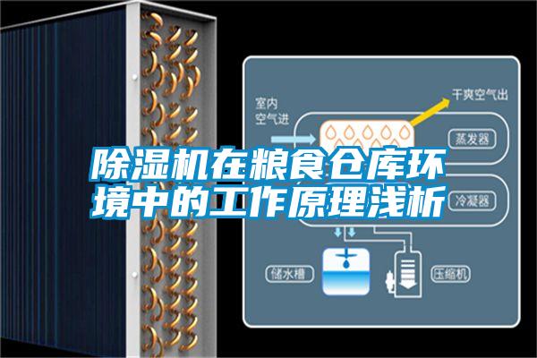 除濕機(jī)在糧食倉(cāng)庫(kù)環(huán)境中的工作原理淺析