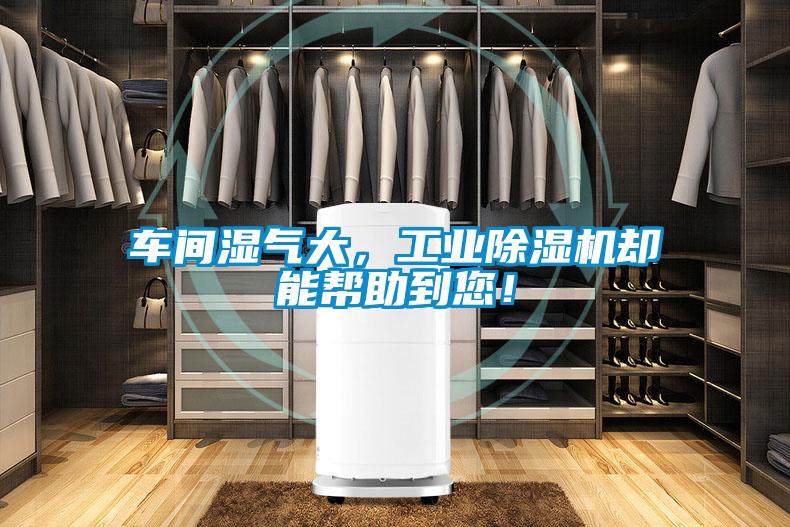 車(chē)間濕氣大，工業(yè)除濕機(jī)卻能幫助到您！