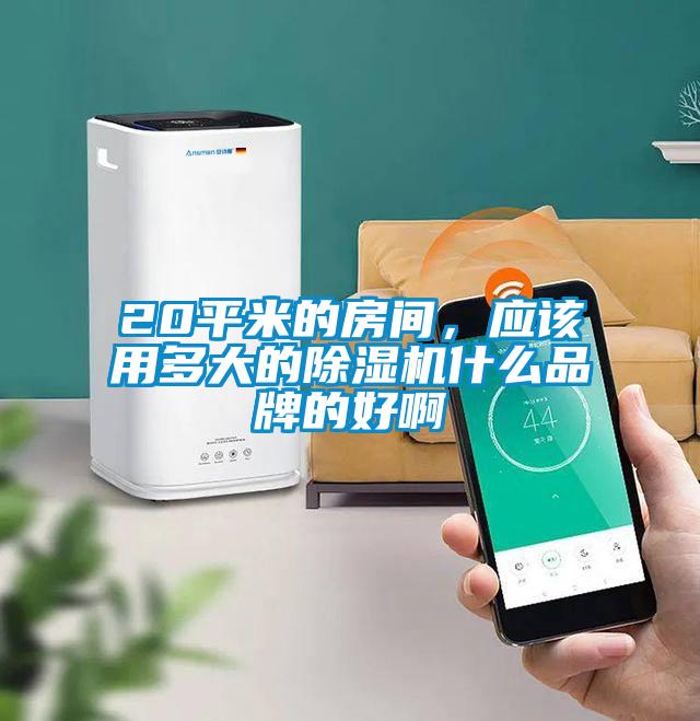 20平米的房間，應該用多大的除濕機什么品牌的好啊