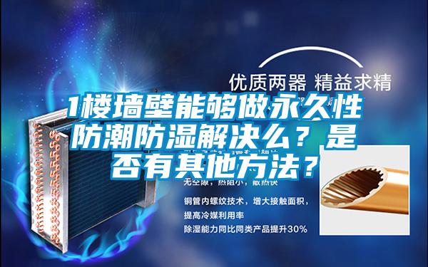 1樓墻壁能夠做永久性防潮防濕解決么？是否有其他方法？