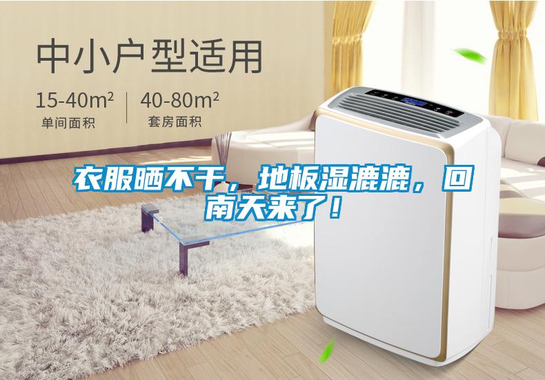 衣服曬不干，地板濕漉漉，回南天來了！