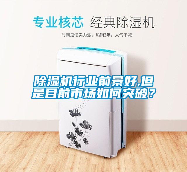 除濕機(jī)行業(yè)前景好,但是目前市場(chǎng)如何突破？