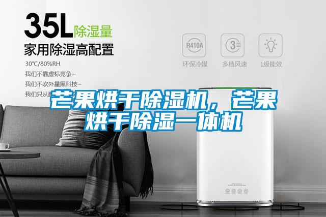芒果烘干除濕機，芒果烘干除濕一體機