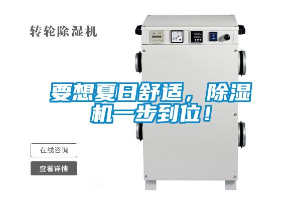 要想夏日舒適，除濕機(jī)一步到位！