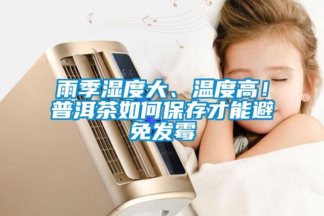 雨季濕度大、溫度高！普洱茶如何保存才能避免發霉