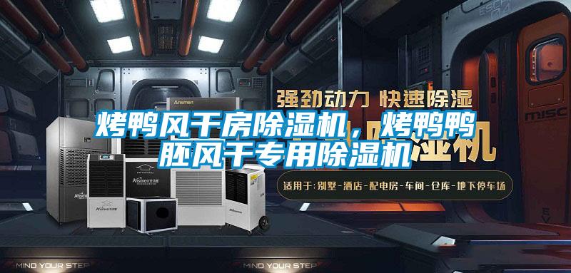 烤鴨風(fēng)干房除濕機，烤鴨鴨胚風(fēng)干專用除濕機