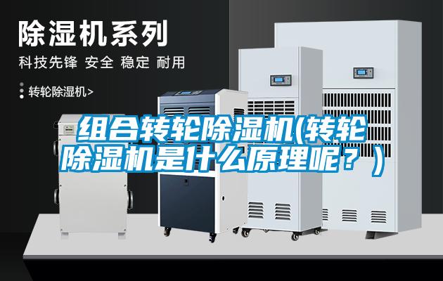 組合轉(zhuǎn)輪除濕機(jī)(轉(zhuǎn)輪除濕機(jī)是什么原理呢？)