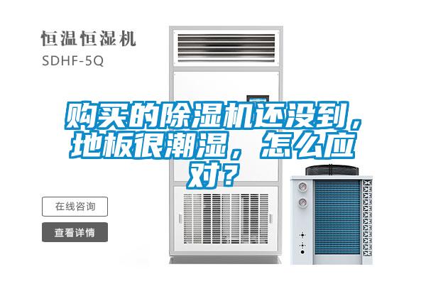 購(gòu)買的除濕機(jī)還沒到，地板很潮濕，怎么應(yīng)對(duì)？