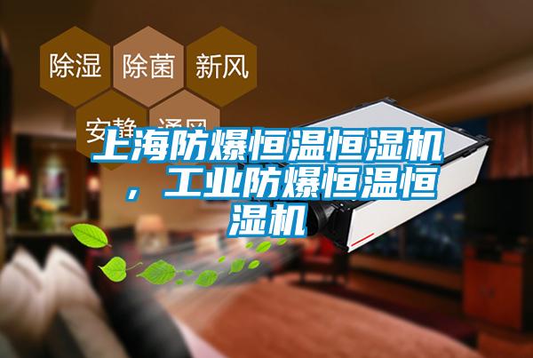 上海防爆恒溫恒濕機 ，工業(yè)防爆恒溫恒濕機