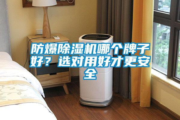 防爆除濕機(jī)哪個牌子好？選對用好才更安全