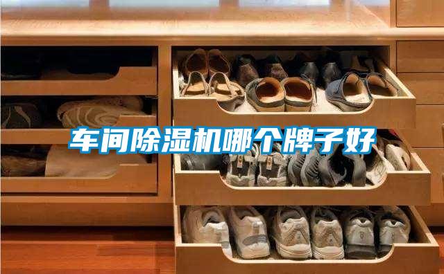 車(chē)間除濕機(jī)哪個(gè)牌子好