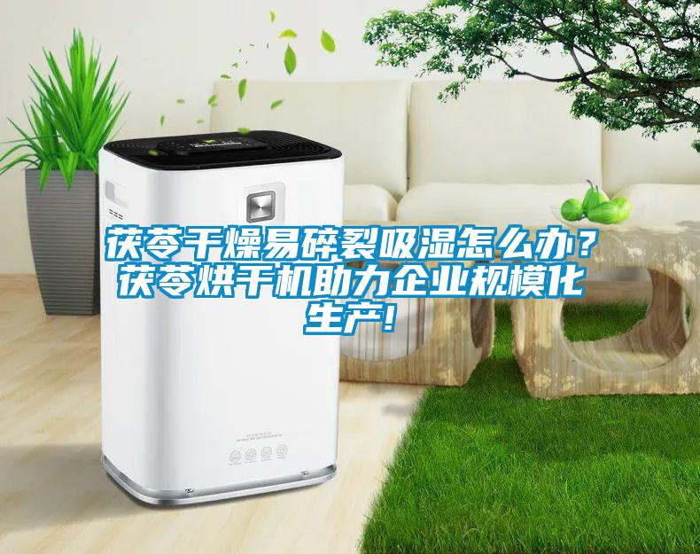 茯苓干燥易碎裂吸濕怎么辦？茯苓烘干機(jī)助力企業(yè)規(guī)模化生產(chǎn)!