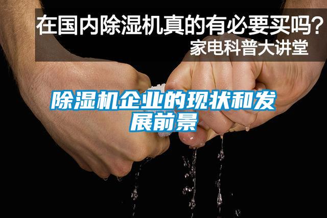 除濕機企業的現狀和發展前景