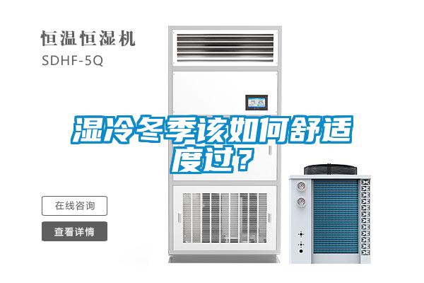 濕冷冬季該如何舒適度過？