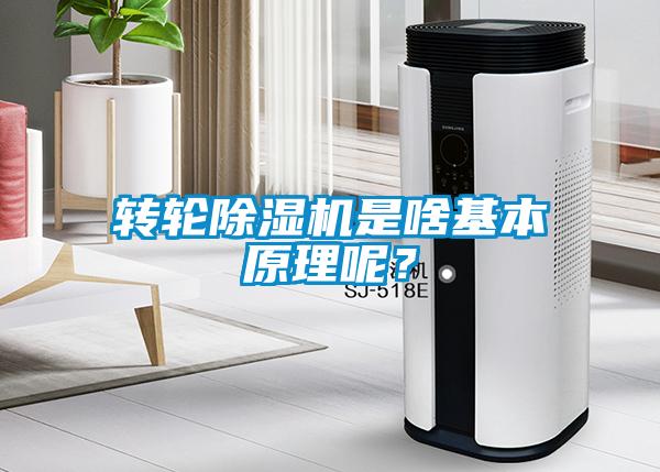 轉(zhuǎn)輪除濕機(jī)是啥基本原理呢？