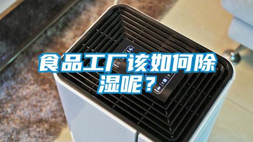 食品工廠該如何除濕呢？