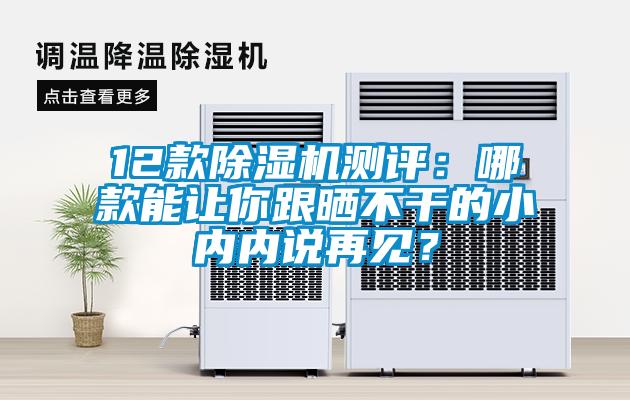 12款除濕機測評：哪款能讓你跟曬不干的小內內說再見？