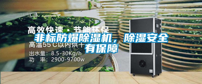 非標防爆除濕機，除濕安全有保障