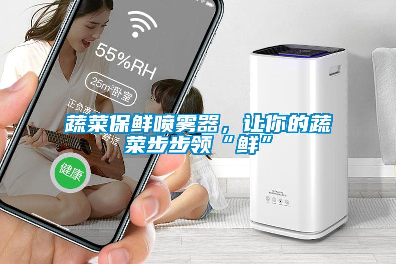 蔬菜保鮮噴霧器，讓你的蔬菜步步領“鮮”