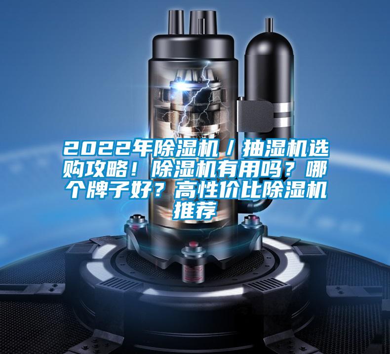 2022年除濕機(jī)／抽濕機(jī)選購(gòu)攻略！除濕機(jī)有用嗎？哪個(gè)牌子好？高性價(jià)比除濕機(jī)推薦