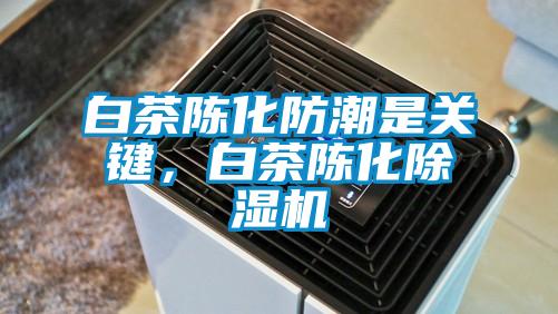 白茶陳化防潮是關鍵，白茶陳化除濕機