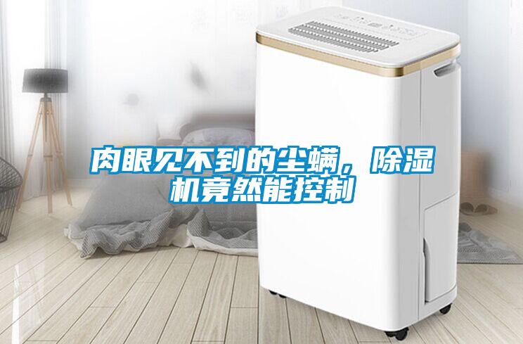 肉眼見不到的塵螨，除濕機竟然能控制