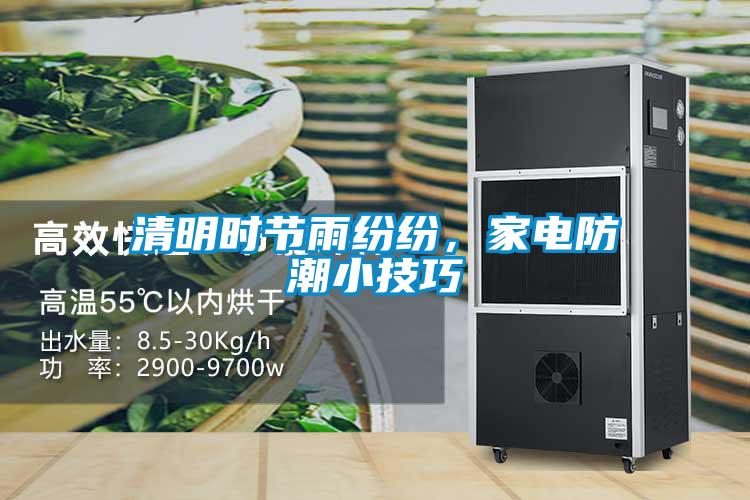 清明時節雨紛紛，家電防潮小技巧