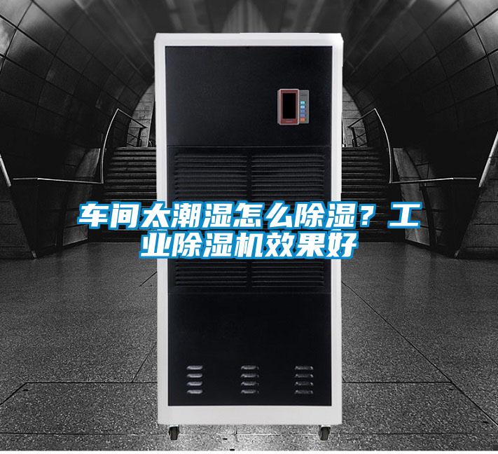 車間太潮濕怎么除濕？工業除濕機效果好