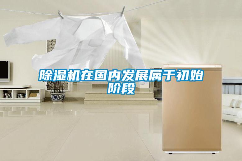 除濕機在國內發展屬于初始階段