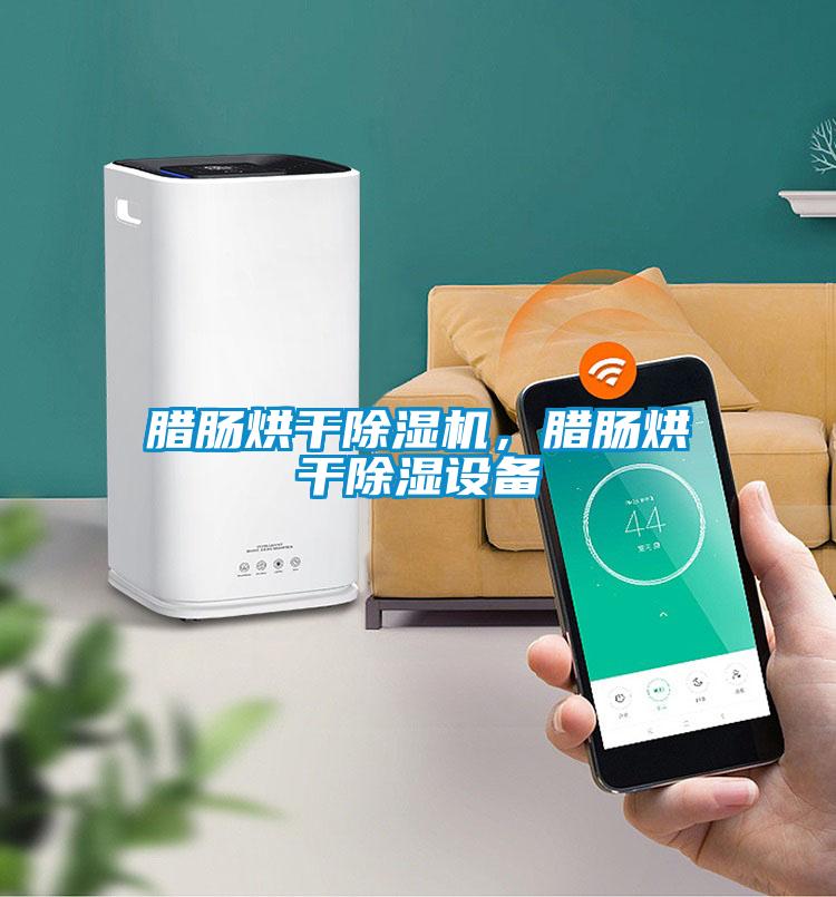臘腸烘干除濕機，臘腸烘干除濕設備