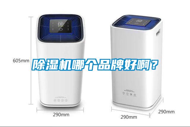 除濕機哪個品牌好??？