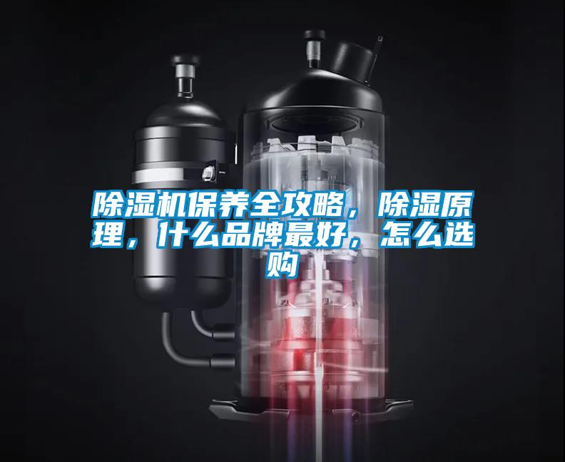 除濕機保養全攻略，除濕原理，什么品牌最好，怎么選購