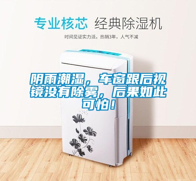 陰雨潮濕，車窗跟后視鏡沒有除霧，后果如此可怕！