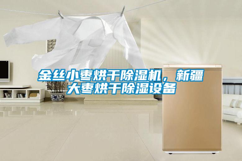 金絲小棗烘干除濕機，新疆大棗烘干除濕設備