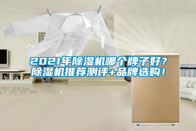 2021年除濕機哪個牌子好？除濕機推薦測評+品牌選購！