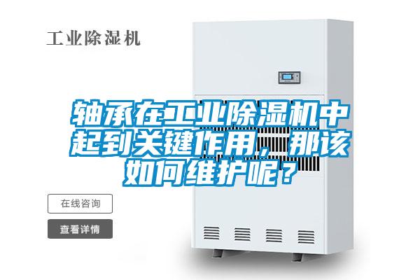 軸承在工業除濕機中起到關鍵作用，那該如何維護呢？