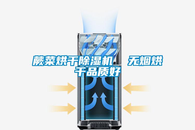 蕨菜烘干除濕機  無煙烘干品質好